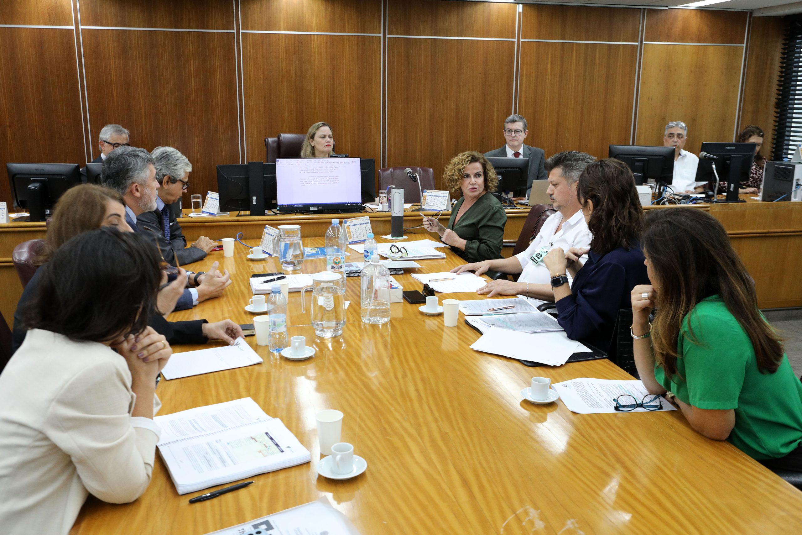 Audiência no Tribunal Regional do Trabalho (TRT ) sobre a greve dos trabalhadores do setor de tintas automotiva. Fotos Dino Santos.