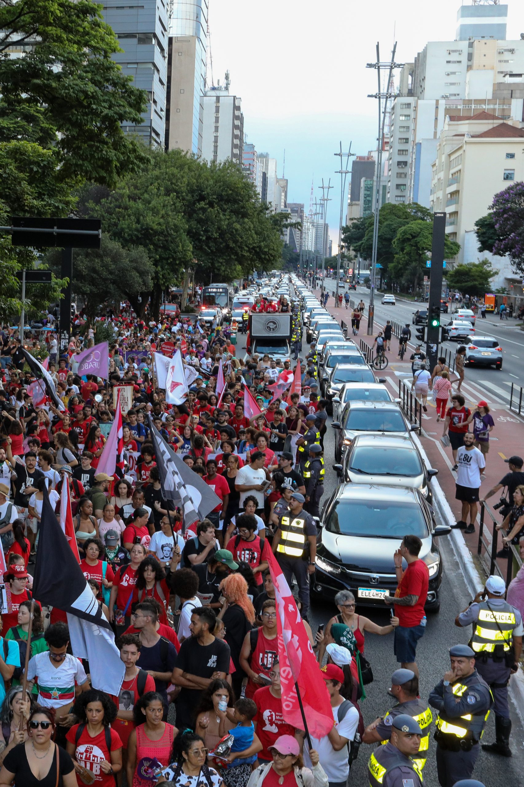 Dia Internacional das Mulheres ato na Av. Paulista concentração em frente o Banco Central e passeata até a Praça Osvaldo Cruz. Fotos Dino Santos. Brasil_08_03_2025.