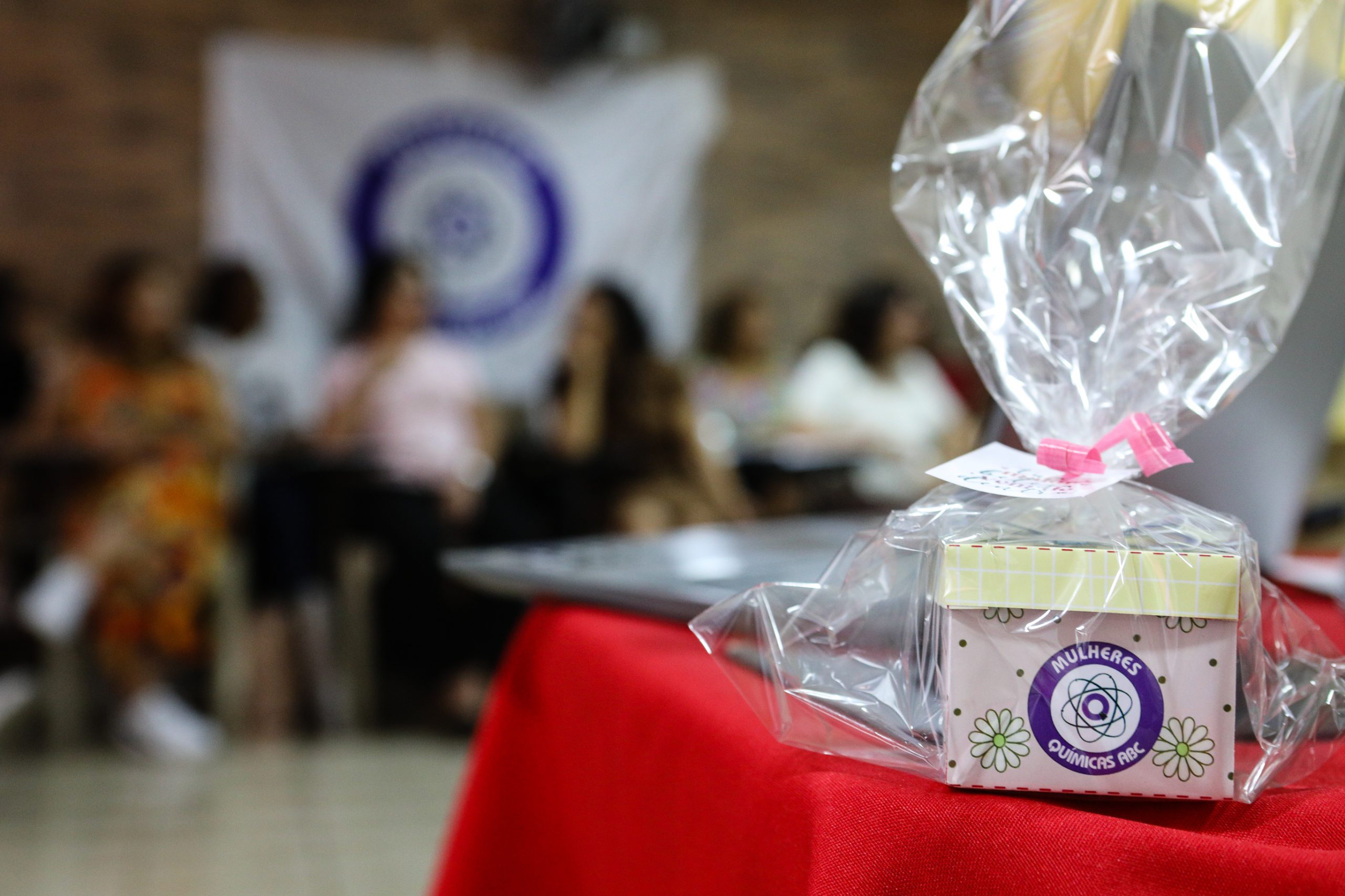 2º Roda de conversa com as mulheres da categoria Química do ABC. Realizado na regional de Diadema. Fotos Dino Santos. Brasil_15_03_2025.