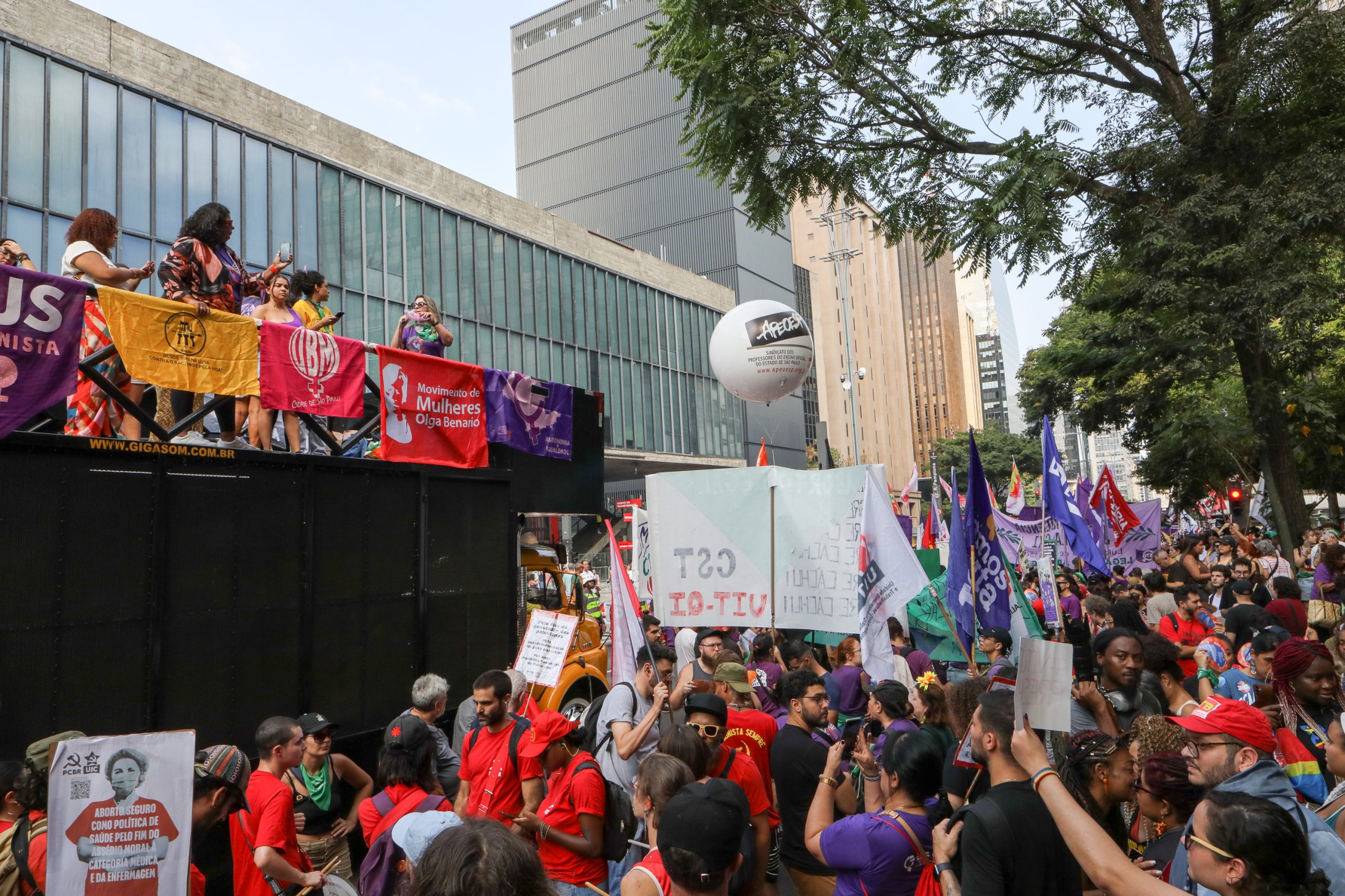 Dia Internacional das Mulheres ato na Av. Paulista concentração em frente o Banco Central e passeata até a Praça Osvaldo Cruz. Fotos Dino Santos. Brasil_08_03_2025.